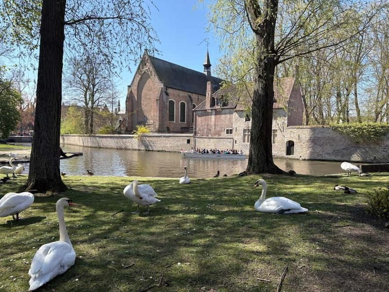 Bruges highlights, hidden gems & chocolate tour,small group - Exploring Bruges with a Personal Touch
