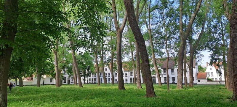 Bruges: highlights & hidden gems - private tour 2 hours - Practical Tips for Travelers