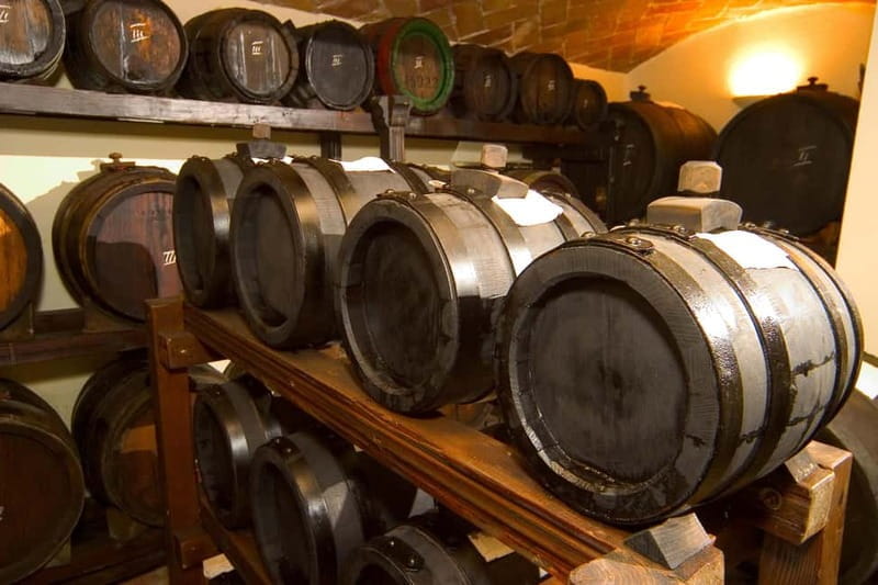 Brunch, balsamic vinegar, and wines: tour of the Emilian hills from Bologna - Discover the Flavors of Emilia-Romagna: An In-Depth Review