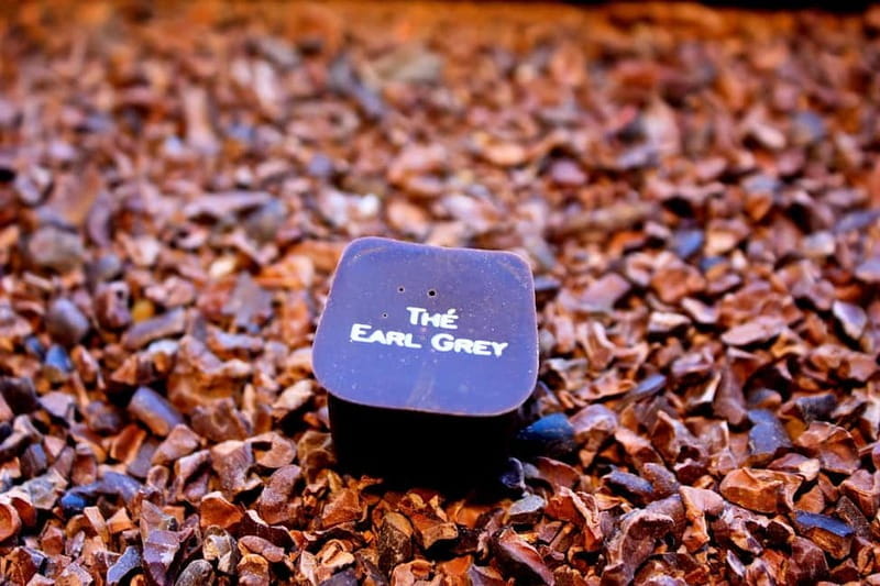 Brussels Beer and Chocolate Walking Tour - The Experience: Walking Through Brussels with Tastes of Tradition