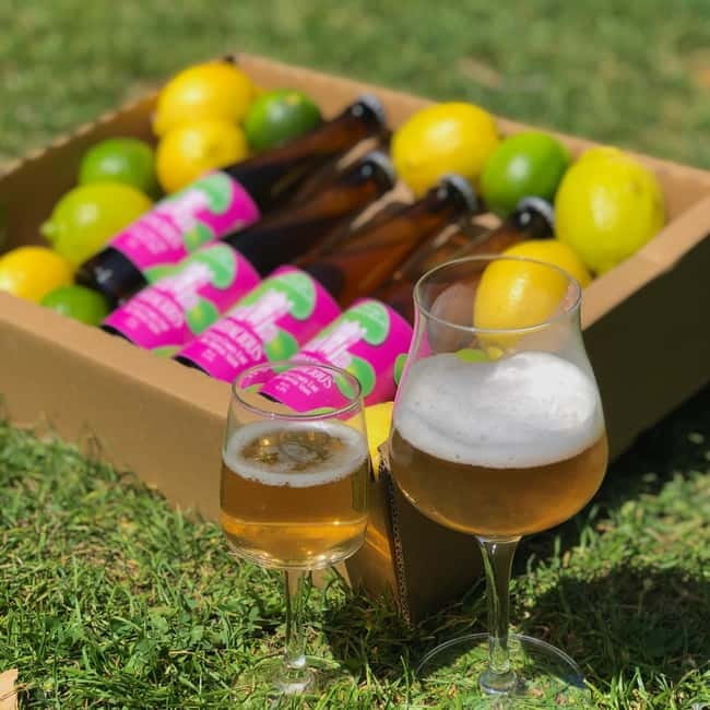 Brussels: beer tasting workshop in a micro brewery - Discovering the Brussels Microbrewery Scene