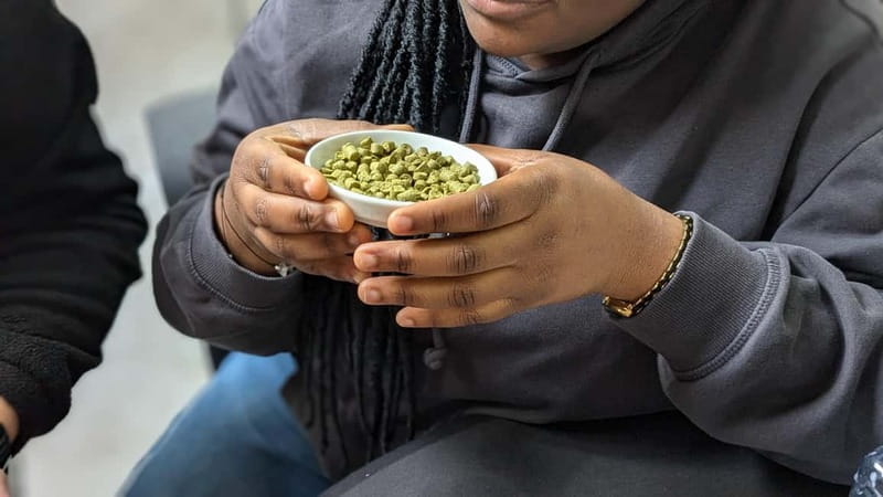 Brussels: beer tasting workshop in a micro brewery - Who This Experience Is Perfect For