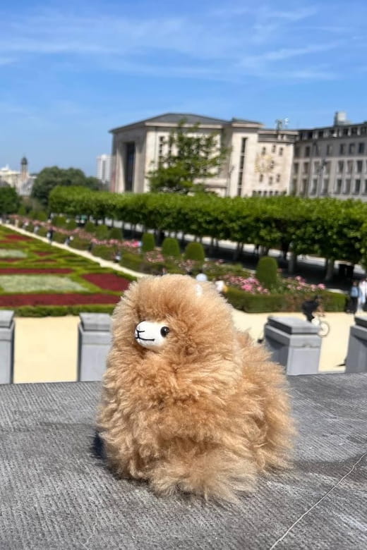 Brussels Day Trip from Paris or Amsterdam by Mini-Van - Key points / Takeaways