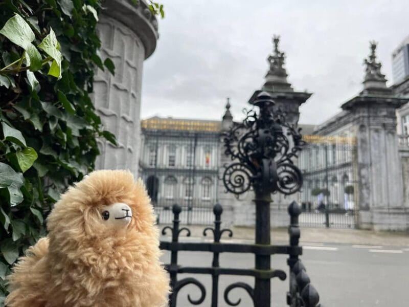 Brussels Day Trip from Paris or Amsterdam by Mini-Van - Free Time and Lunch in Brussels