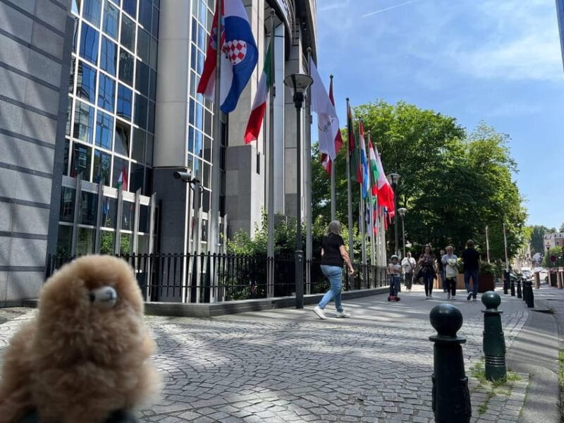 Brussels Day Trip from Paris or Amsterdam by Mini-Van - Final Thoughts