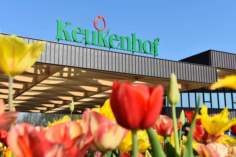 Brussels: Holland Keukenhof & Kinderdijk Guided Day Tour - Key points / Takeaways