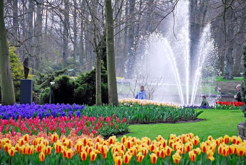 Brussels: Holland Keukenhof & Kinderdijk Guided Day Tour - FAQs