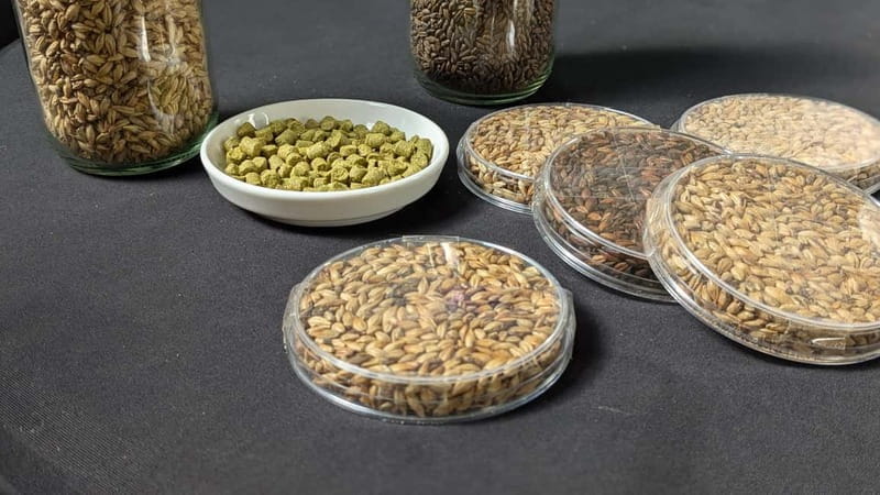 Brussels: micro brewery & distillery tour + beer tasting - Who Should Consider This Tour?