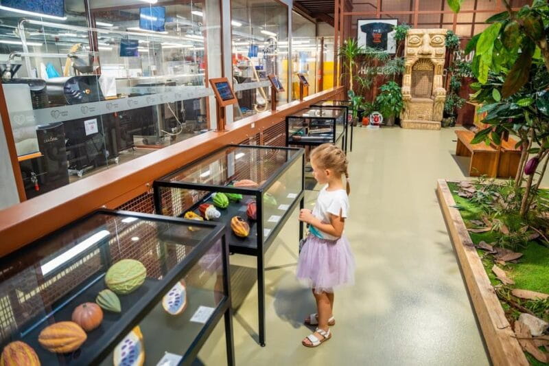 Brussels: Private Family Tour. Highlights, Tasting & Museum - Key points / Takeaways