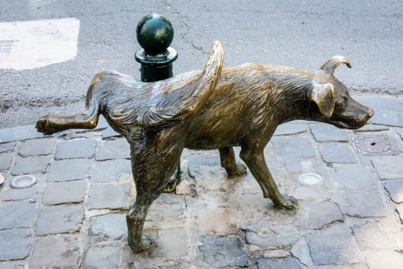 Brussels: Secret Paths and Stories Private Walking Tour - FAQ