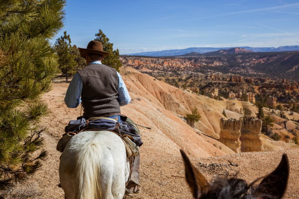 Bryce Canyon: Horseback Ride in the Dixie National Forest - Pricing and Availability