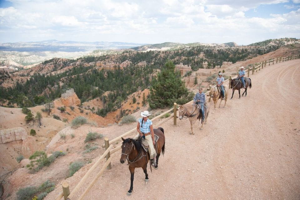 Bryce Canyon: Horseback Ride in the Dixie National Forest - Whats Included and Requirements