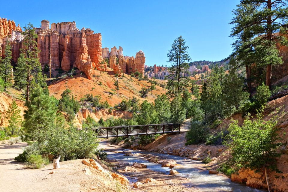 Bryce Canyon National Park: Guided ATV/RZR Tour - Inclusions and Requirements