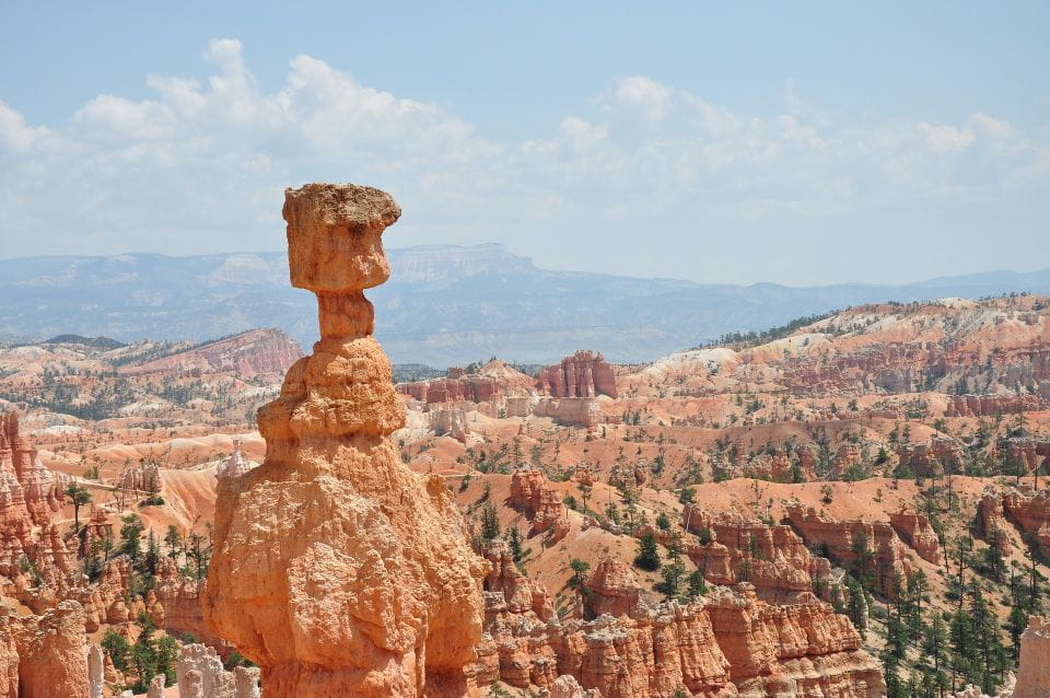 Bryce: Guided Sightseeing Tour of Bryce Canyon National Park - Customer Feedback and Ratings