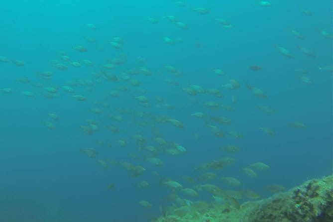 Bubble maker (scuba diving for children) - Key points / Takeaways