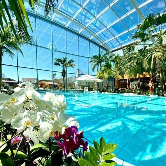 Bucharest: All Day Therme with Elysium Experience - The Sum Up