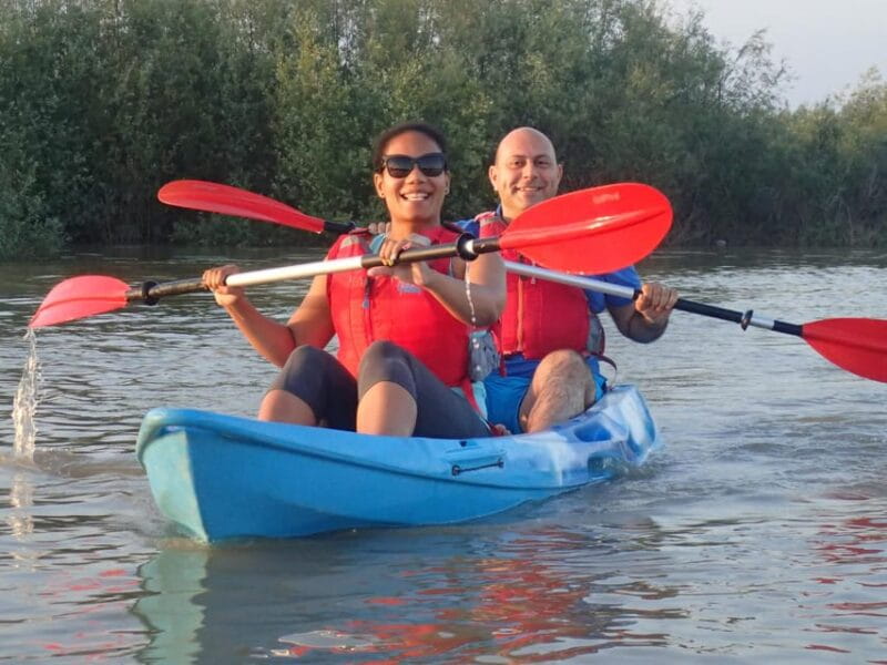 Bucharest: Arges River Kayaking Tour with Transfers - Price & Value Analysis