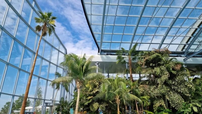 Bucharest: City Tour and Therme Spa Day Trip with Transfer - The Balance of Pacing and Content