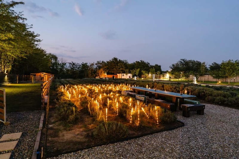 Bucharest: Day Trip at the The Tribe Alpaca Retreat - Who Is This Experience Best For?