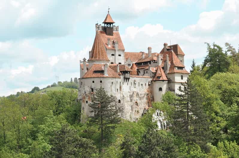Bucharest: Dracula's Castle, Pele Castle & Braov Day Trip - Final Thoughts: Who Is This Tour Best For?