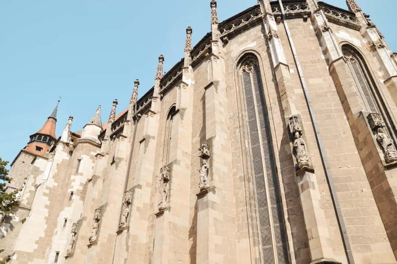 Bucharest: Dracula's Castle, Pele Castle & Braov Day Trip - Key points / Takeaways