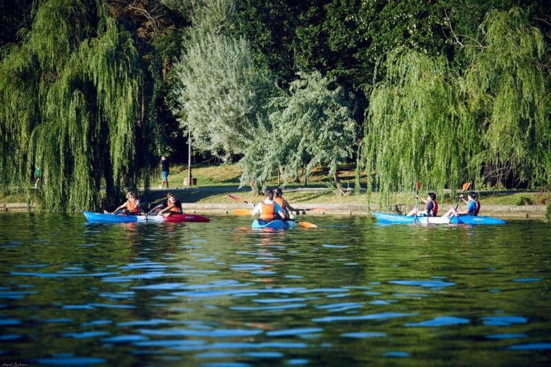 Bucharest: Guided Kayaking Tour in Herastrau Park - Key Points / Takeaways