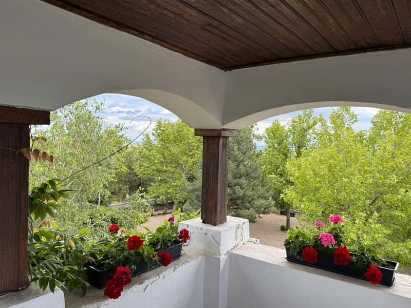 Bucharest: Half-Day Tour of Dealu Mare Wineries - Exploring Dealu Mare: An Authentic Romanian Wine Journey