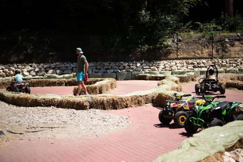 Bucharest: Magic Park & Bear Sanctuary Day Trip - Key Points / Takeaways