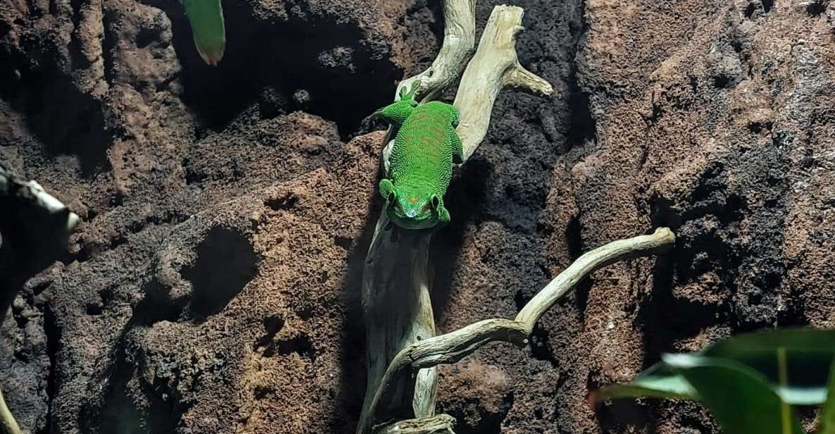 Bucharest: Reptiland Bucharest Entry Ticket - Frequently Asked Questions