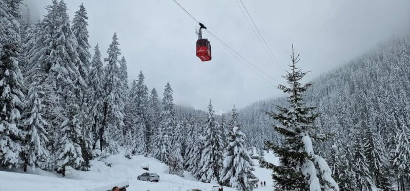 Bucharest: Snowmobile Tour with Pele Castle and Cable Car - Visiting Pele Castle: A Royal Dream