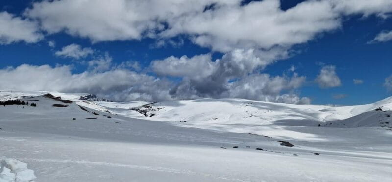 Bucharest: Snowmobile Tour with Pele Castle and Cable Car - Coffee Break and Romanian Cuisine: Warmth and Flavor