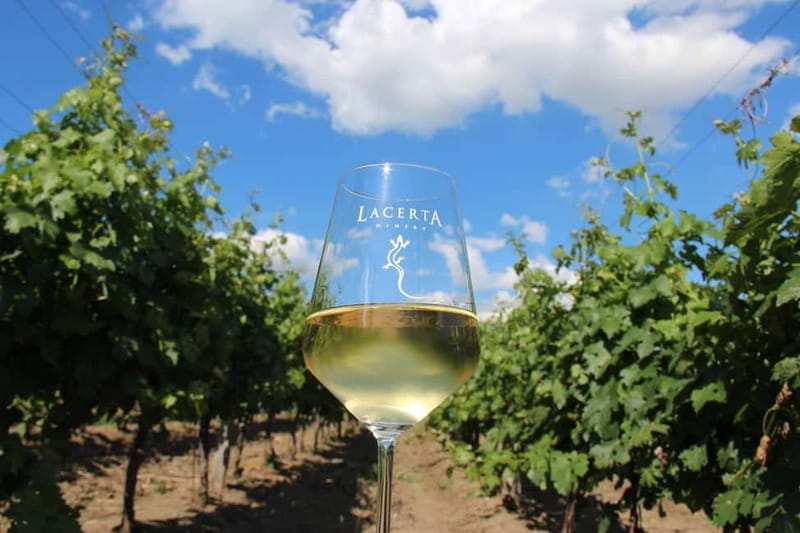 Bucharest: Taste the Magic of Wine in Romanias Tuscany - Key Points / Takeaways