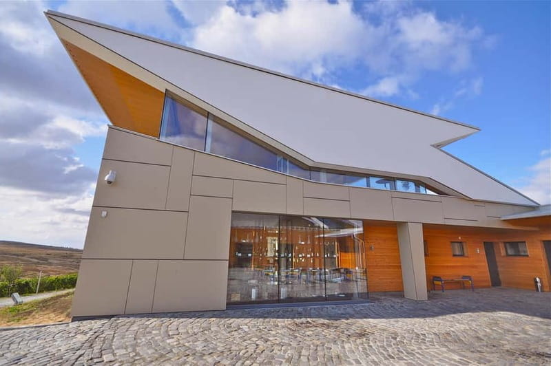 Bucharest: Taste the Magic of Wine in Romanias Tuscany - What to Expect: A Day of Scenic Vines and Fine Wines