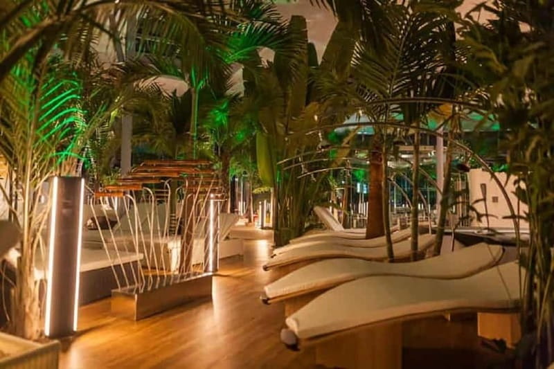 Bucharest: Therme Bucuresti Entry Ticket with Transfer - The Experience: What You Can Expect