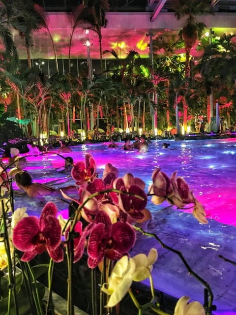 Bucharest: Therme Spa Night Experience with Transfer - Practical Details and Tips for Visitors