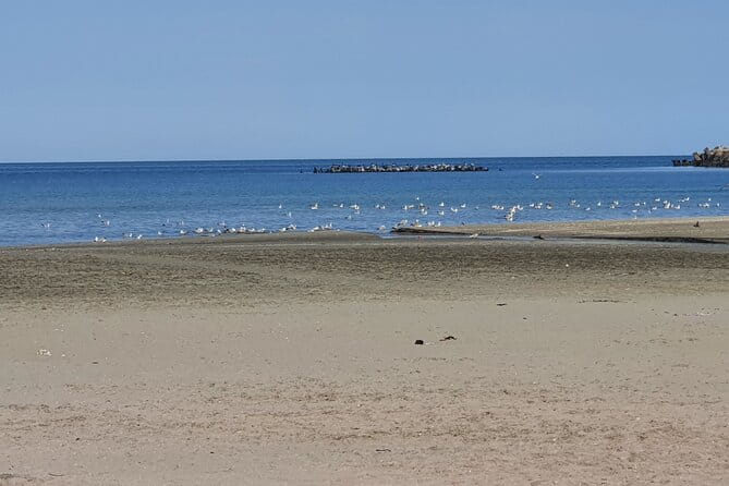 Bucharest to Constanta - Fast Transportation - The Sum Up