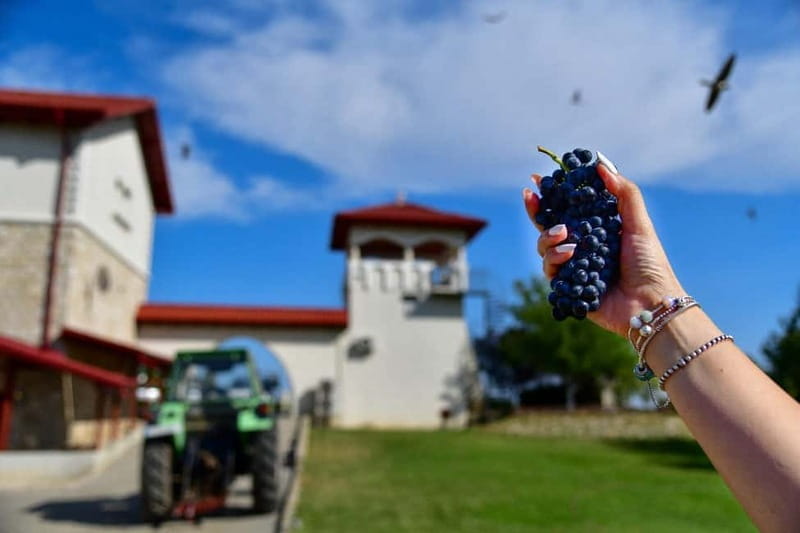 Bucharest: Tour The Wine Road, 2 Boutique Wineries in 1 Day - Key Points / Takeaways