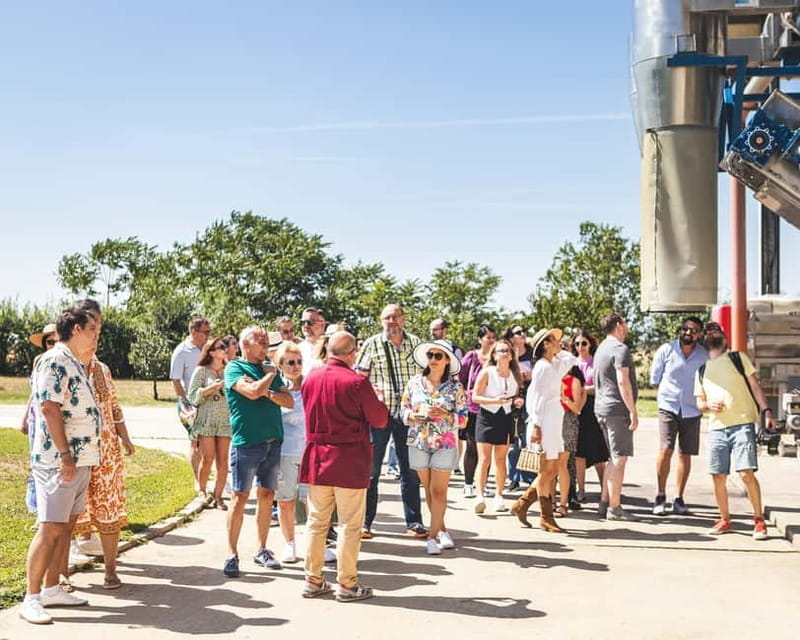 Bucharest: Tour The Wine Road, 2 Boutique Wineries in 1 Day - A Deep Dive into the Experience