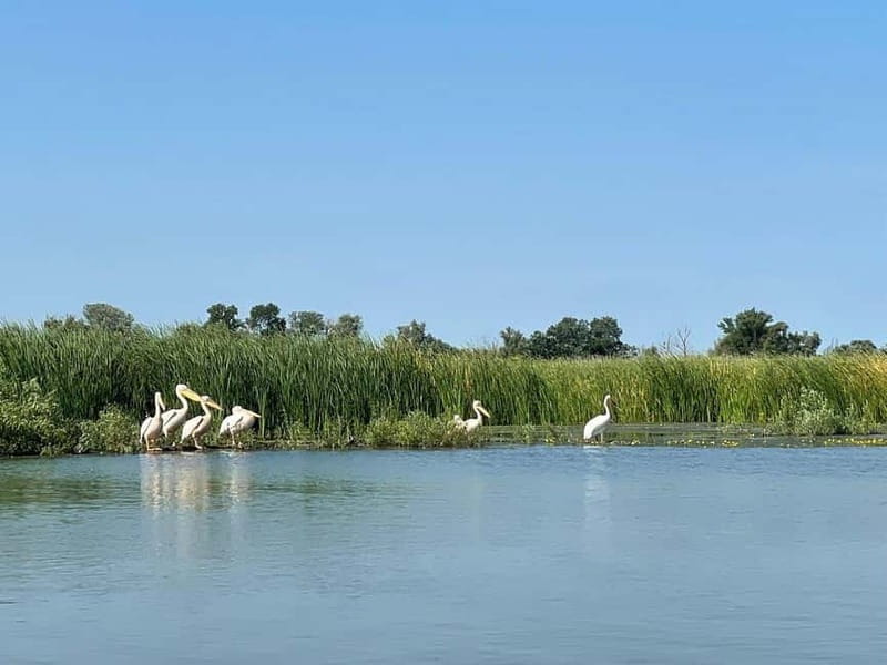 Bucharest: Tour to Danube Delta 2-Days With Boat Tour - Key points / Takeaways