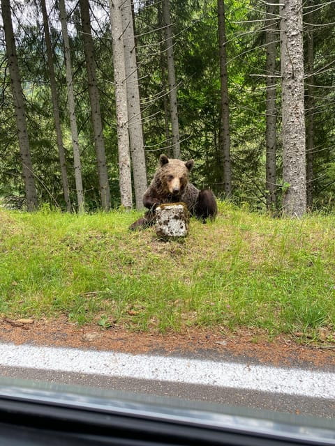 Bucharest: Transfagarasan Road, Famous & Spectacular - Final Thoughts