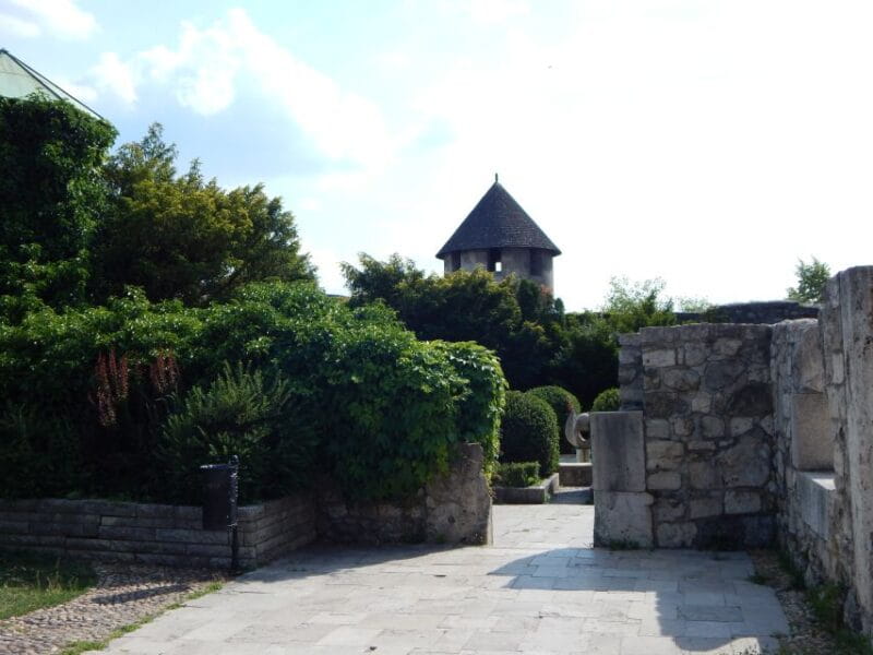 Buda Castle: Private Walking Tour - Price and Logistics: A Good Deal for a Custom Experience