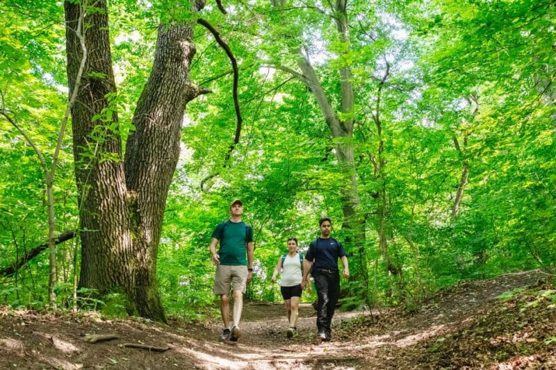 Budapest: Buda Hills Guided Hiking Tour with Optional Lunch - An In-Depth Look at the Buda Hills Guided Hiking Tour