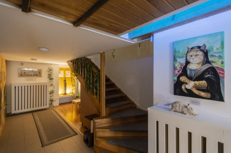 Budapest: Cat Museum Budapest Entry Ticket - Price and Logistics: A Good Deal in Budapest