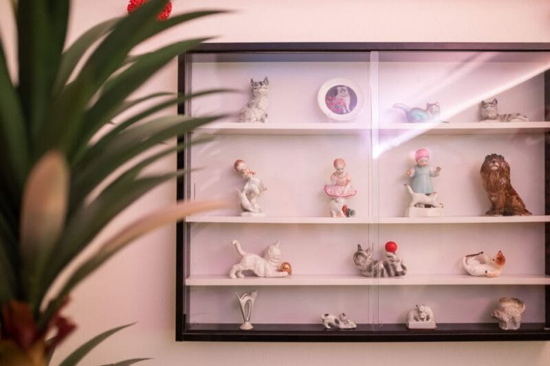 Budapest: Cat Museum Budapest Entry Ticket - Final Thoughts: Is the Budapest Cat Museum Worth It?