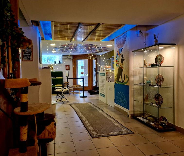 Budapest: Cat Museum Budapest Entry Ticket - FAQ