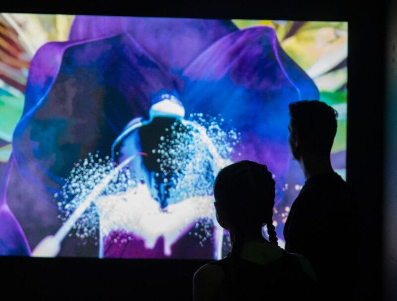 Budapest: Cinema Mystica Entry Ticket - Key Points/Takeaways