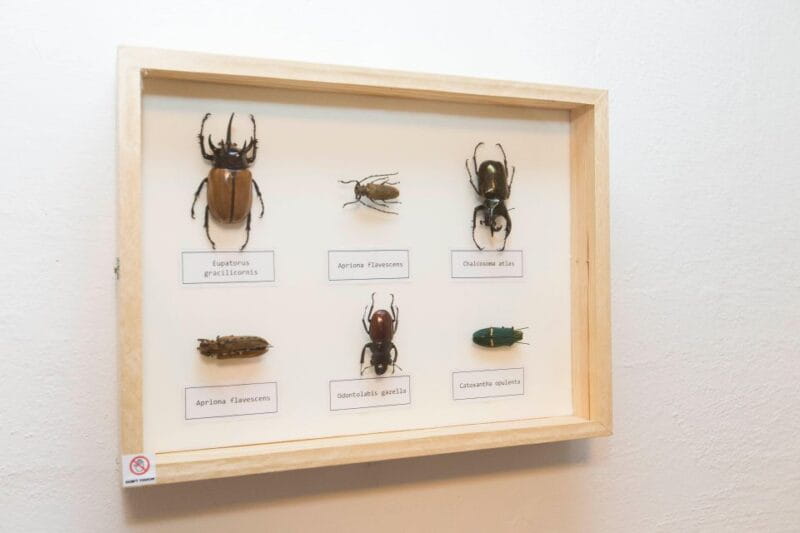 Budapest: Escape Room game, Secret Surgery - The Adventure Begins: Inside the “Secret Surgery” Escape Room