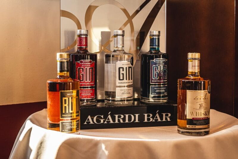 Budapest: Hungarian Whisky, Gin, and Pálinka Tasting - Entering the Heart of Hungarian Spirit Traditions