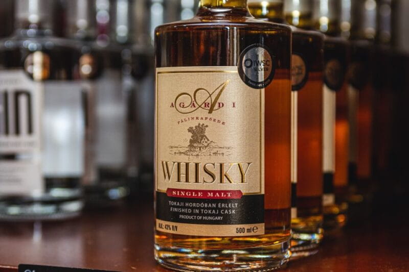 Budapest: Hungarian Whisky, Gin, and Pálinka Tasting - The Sum Up