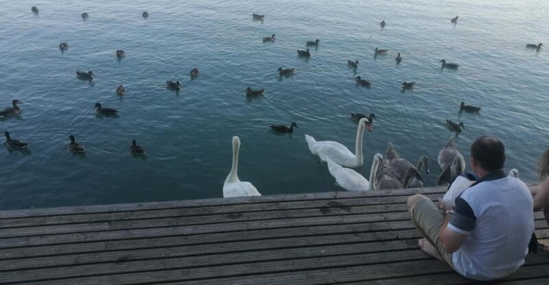 Budapest: Lake Balaton & Herend Porcelain Private Day Tour - Exploring the Details: What You Can Expect from This Tour